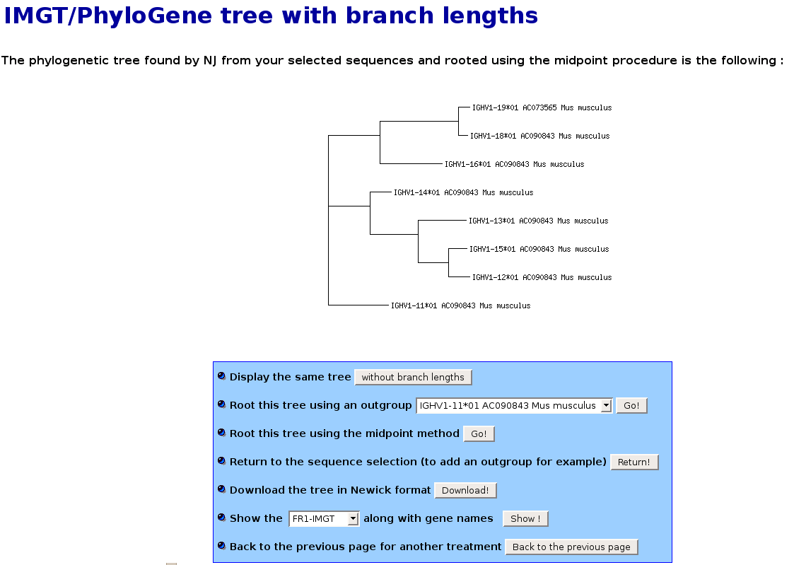 IMG TREE1