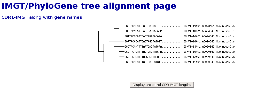 IMG TREE2