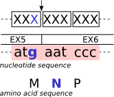 Splicing frame 0 (codon_start1)