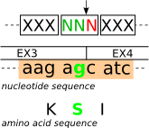 Splicing frame 2 (codon_start2)