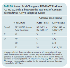 Amino acid changes