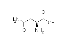 asparagin