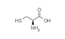 cystein