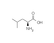 leucin