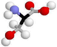 Acid structure amino Amino Acids