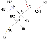 cysWF1