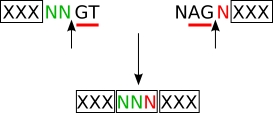 Other splicing