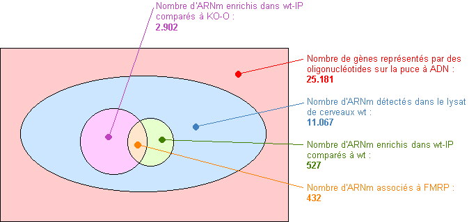 diagramme