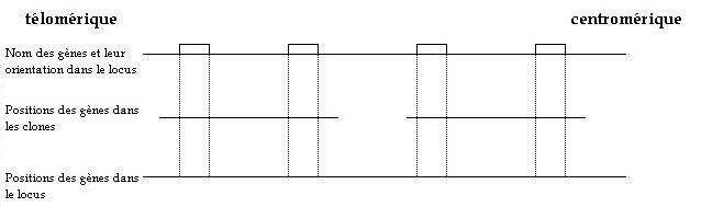 schema recapitulatif