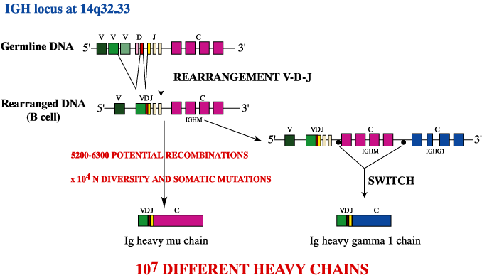 Figure1