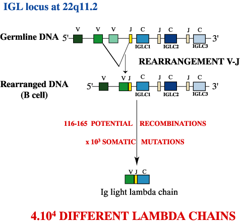 Figure3