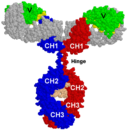 Figure4