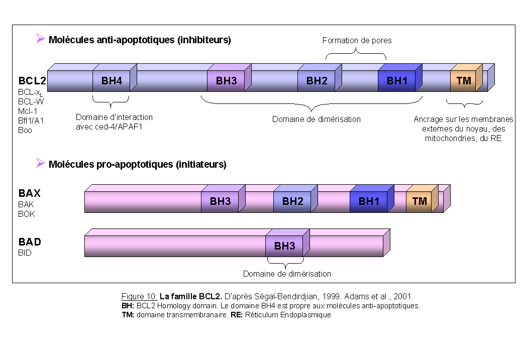 Figure10