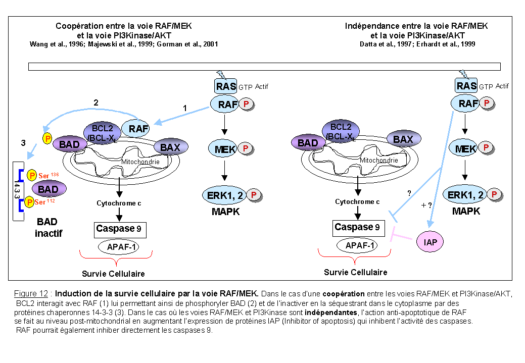 Figure12