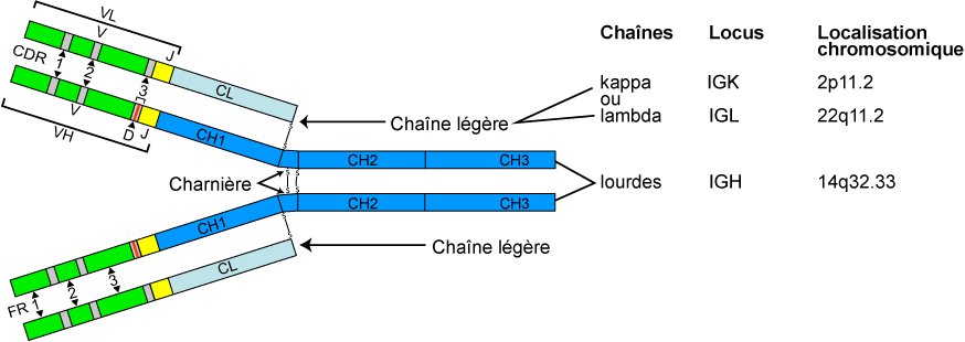 Figure1