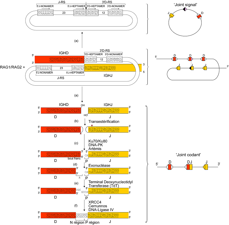 Figure10