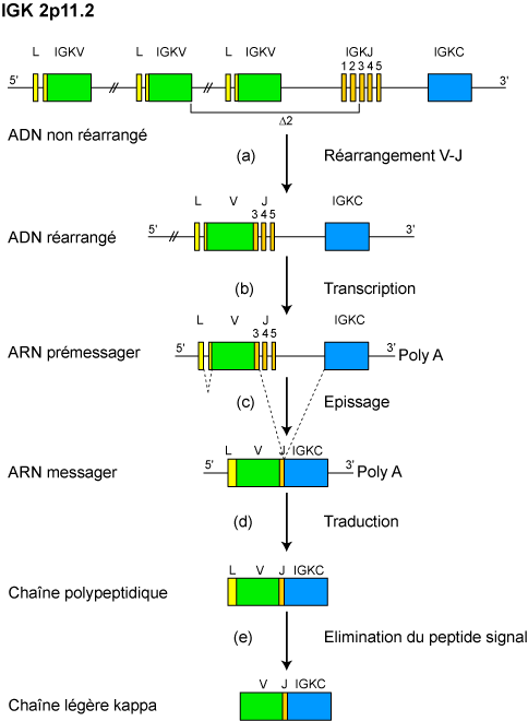 Figure2