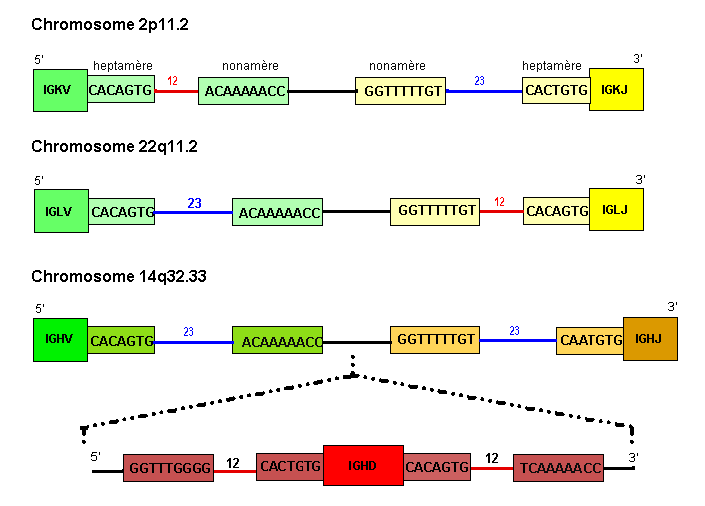 Figure3