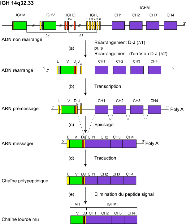 Figure4