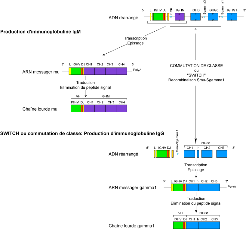 Figure6