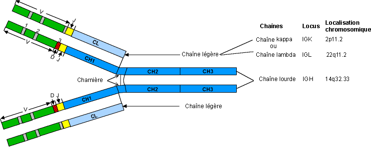 figure7