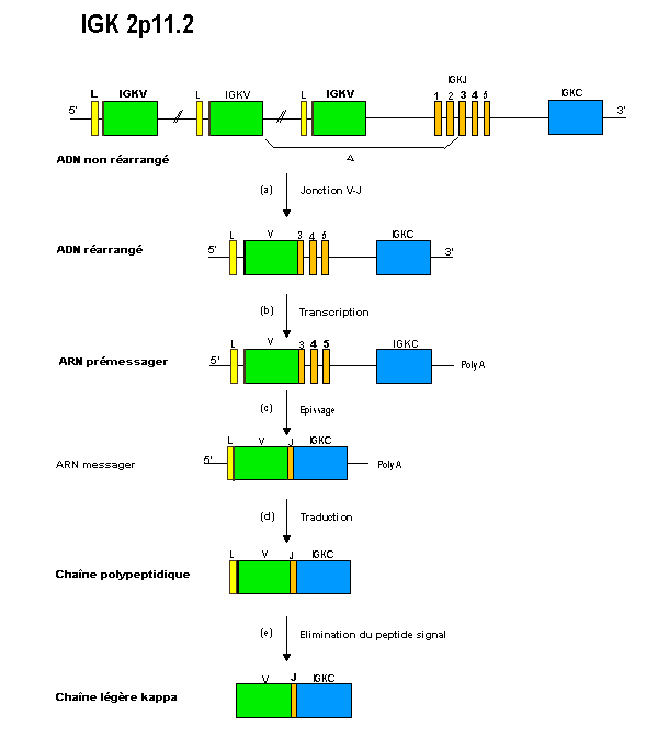 figure3