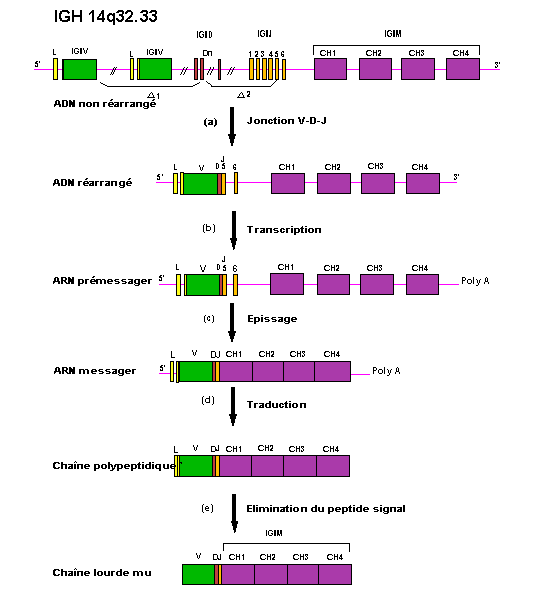 figure2