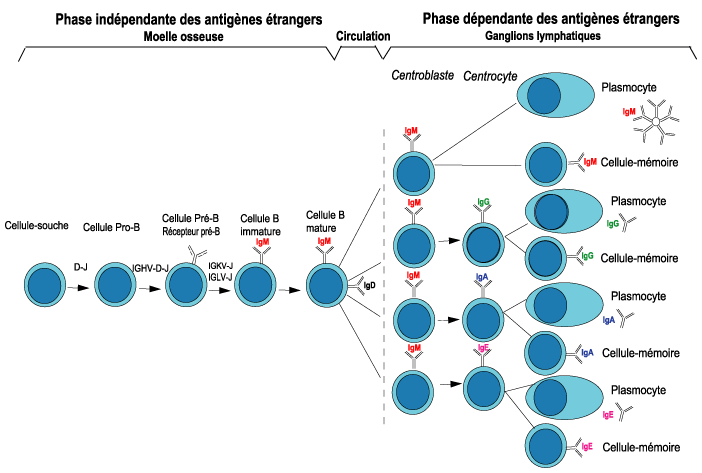 figure1