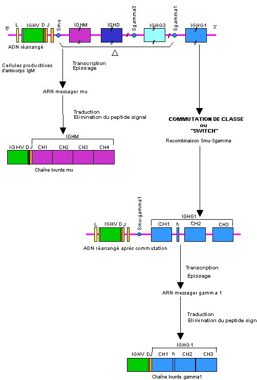 figure6