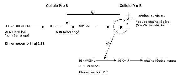 figure5