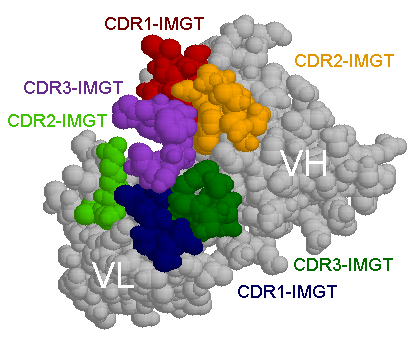 Fv