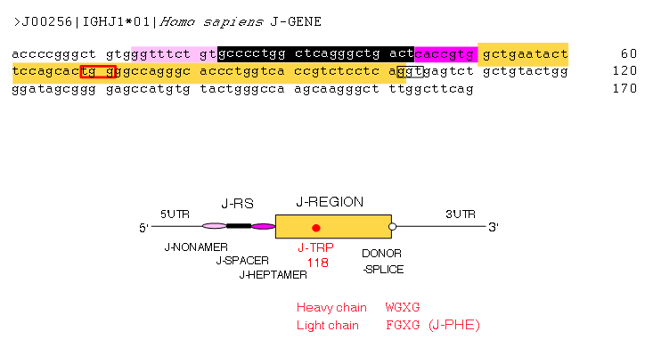 J-GENE example