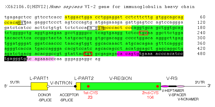 V-GENE example