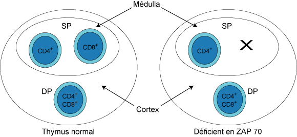 Figure10