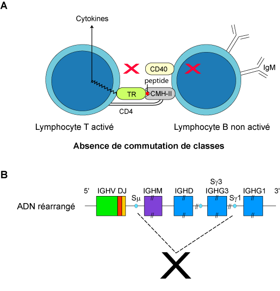 Figure3