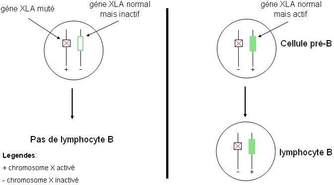 Figure4