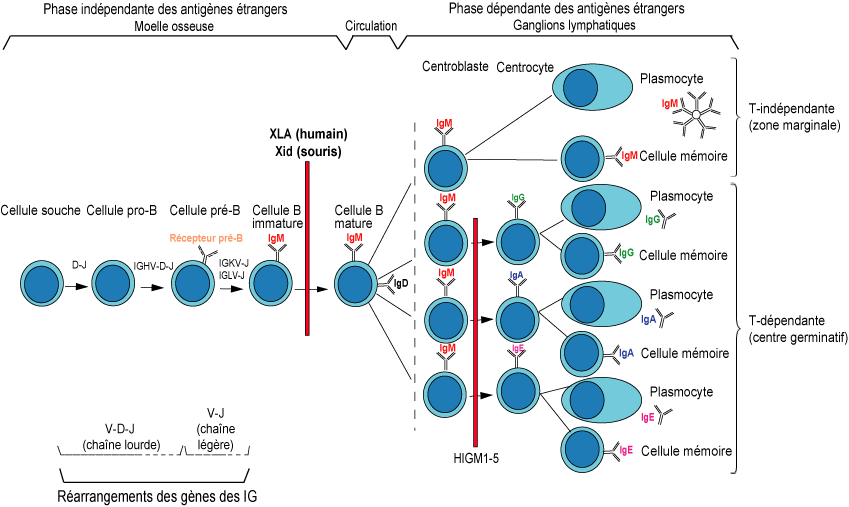 Figure5