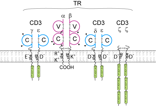 Figure6