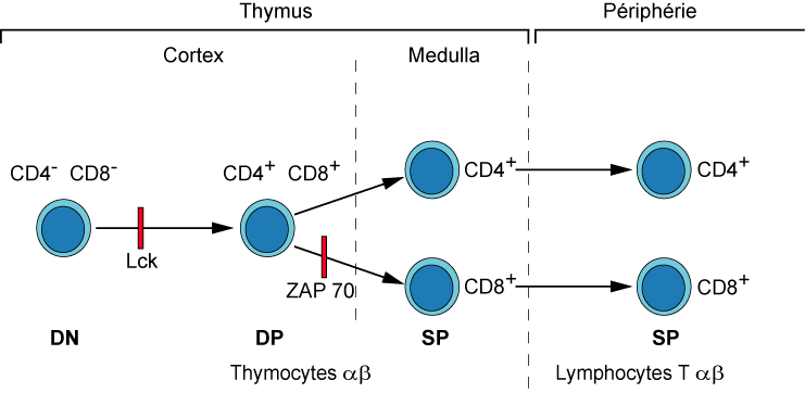 Figure7