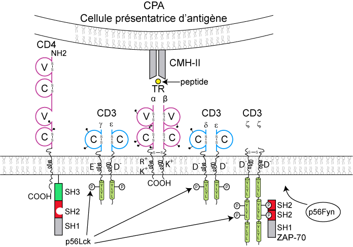 Figure9