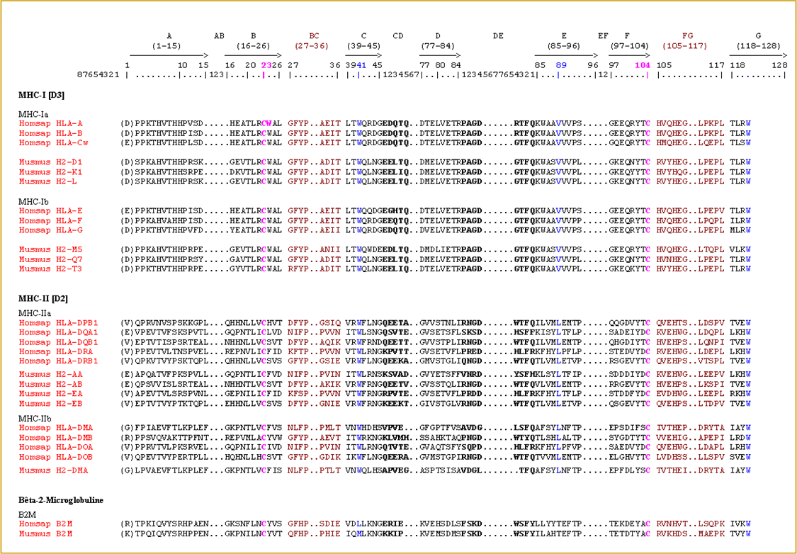 Protein display du C-LIKE-DOMAIN