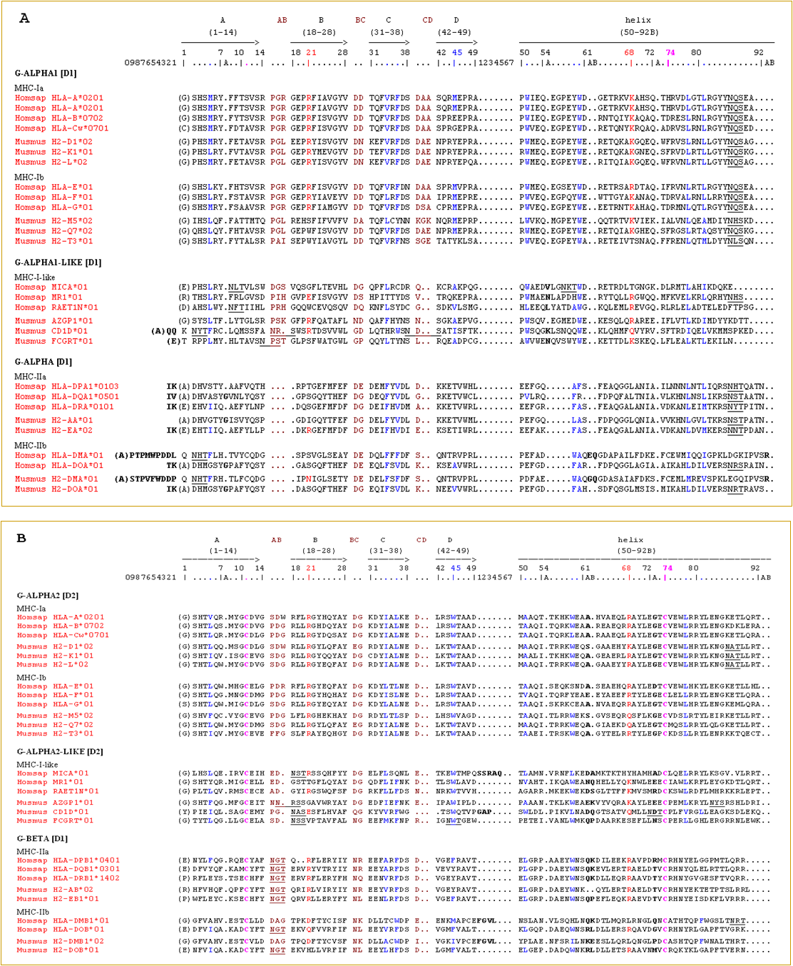 Protein display du G-DOMAIN