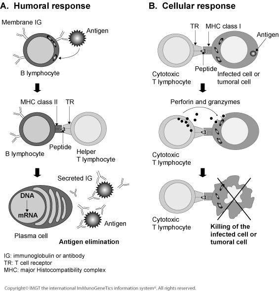 Figure1