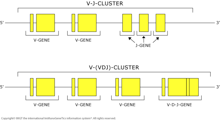 Figure19