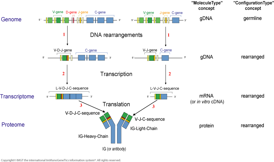 Figure4