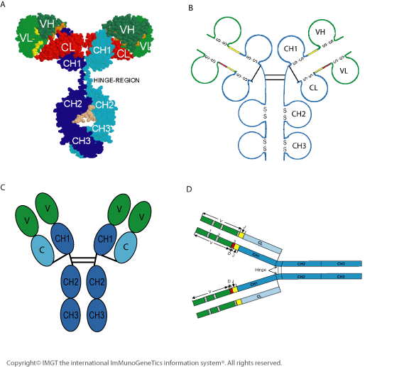 Figure6