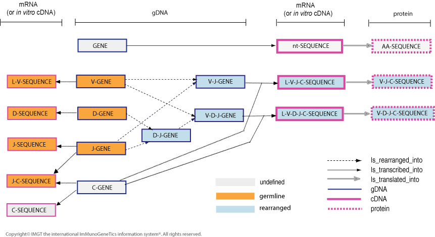 Figure7