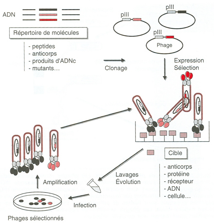 figure2