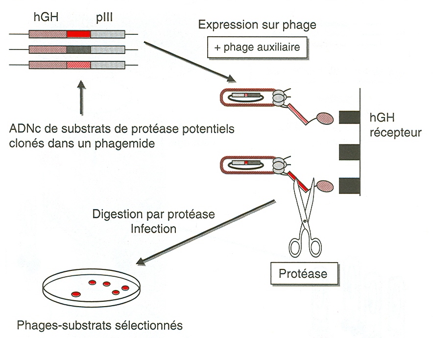 figure3