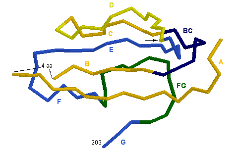 C-DOMAIN TRA